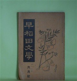 画像1: 早稲田文学　大正8年6月（第163号）―国木田独歩十三年忌に（中桐確太郎、中澤臨川、平塚断水）、廃倉の病者（須藤鐘一）、地上哀歌（福田正夫）、西大寺（上司小剣）、鐘楼守（ユーゴー・原作/仲木貞一・脚色）ほか　中桐確太郎、中澤臨川、平塚断水、須藤鐘一、福田正夫、上司小剣、ユーゴー・原作/仲木貞一・脚色、広津和郎　ほか
