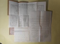 画像1: 祝・記念　摺澤家政女学校十週年