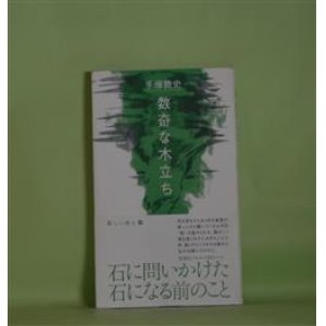 画像: 数奇な木立ち（新しい詩人　03）　手塚敦史　著