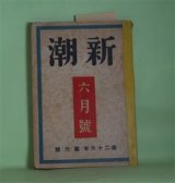 画像: 新潮　昭和4年6月（第26年第6号）―生存のアスペクト（浅原六朗）、ゆく年（久保田万太郎）、痴情（林房雄）ほか　浅原六朗、久保田万太郎、林房雄、川端康成、大宅壮一、勝本清一郎　ほか