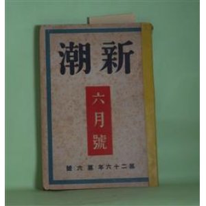 画像: 新潮　昭和4年6月（第26年第6号）―生存のアスペクト（浅原六朗）、ゆく年（久保田万太郎）、痴情（林房雄）ほか　浅原六朗、久保田万太郎、林房雄、川端康成、大宅壮一、勝本清一郎　ほか