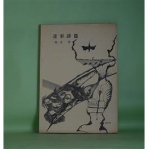 画像: 迷彩詩篇　建畠晢　著