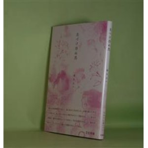 画像: 名づけ得ぬ馬　颯木あやこ　著
