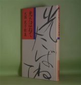 画像: 光たばねて―大西民子歌集　大西民子　著