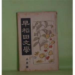 画像: 早稲田文学　大正8年8月（第165号）―アラン島の初夏（シング/西條八十・訳）、イタリイの海岸（モウパツサン/岡村千秋・訳）、ウオルガ下り（ペアリング/T・N生・訳）、京の夏（近松秋江）、夏になると（上司小剣）ほか　シング/西條八十・訳、モウパツサン/岡村千秋・訳、ペアリング/T・N生・訳、近松秋江、上司小剣、若山牧水、水野葉舟、野口米次郎　ほか