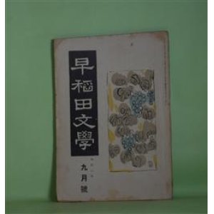 画像: 早稲田文学　大正8年9月（第166号）―青といふ蛇（中村白葉）、小さい菜畑（水守亀之助）、后デルヴオルギラ（グレゴリイ/菊池寛・訳）、支那概観（石井柏亭）、民衆運動の点火者としての知識階級（大庭柯公）ほか　中村白葉、水守亀之助、グレゴリイ/菊池寛・訳、石井柏亭、大庭柯公、中村星湖、北澤新次郎　ほか