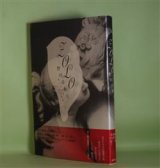 画像: ZOLO　野村喜和夫　著