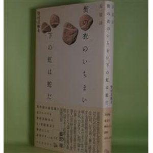 画像: 長篇詩　街の衣のいちまい下の虹は蛇だ　野村喜和夫　著