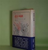 画像: 迷宮の岐路―〈迷宮の岐路　1〉（叢書・ウニベルシタス　445）　コルネリュウス・カストリアディス　著/宇京頼三　訳