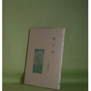画像: 唐子木　日和聡子　著