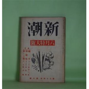 画像: 新潮　昭和12年6月（第34年第6号）―織女（豊田三郎）、窃盗犯（新田潤）、新しき鷲（荒木巍）、文化勲章私議（上司小剣）、ヘルデーリンと文学の本質（ハイデッガー）ほか　豊田三郎、新田潤、荒木巍、上司小剣、ハイデッガー、高見順、佐藤春夫、高見順　ほか