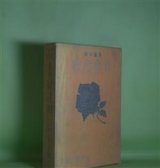 画像: 長篇小説　青春迷路　山中峯太郎　著/吉邨二郎　装幀・挿絵