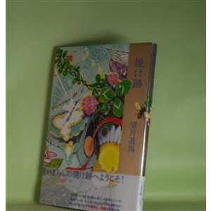画像: 焼け跡　望月遊馬　著
