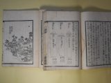 画像: 武蔵野話　1・3　計2冊　斎藤鶴磯　著/鈴木南嶺　画