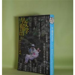 画像: 早稲田文学　第6号（2013年9月3日）―特集・早稲田文学新人賞のひとたち、大江健三郎（ほぼ）全小説解題　ほか　青沼静哉、仙田学、間宮緑、向井豊昭、黒田夏子（インタビュー）、多和田葉子　ほか