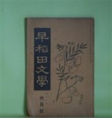 画像: 早稲田文学　大正8年6月（第163号）―国木田独歩十三年忌に（中桐確太郎、中澤臨川、平塚断水）、廃倉の病者（須藤鐘一）、地上哀歌（福田正夫）、西大寺（上司小剣）、鐘楼守（ユーゴー・原作/仲木貞一・脚色）ほか　中桐確太郎、中澤臨川、平塚断水、須藤鐘一、福田正夫、上司小剣、ユーゴー・原作/仲木貞一・脚色、広津和郎　ほか