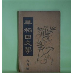 画像: 早稲田文学　大正8年6月（第163号）―国木田独歩十三年忌に（中桐確太郎、中澤臨川、平塚断水）、廃倉の病者（須藤鐘一）、地上哀歌（福田正夫）、西大寺（上司小剣）、鐘楼守（ユーゴー・原作/仲木貞一・脚色）ほか　中桐確太郎、中澤臨川、平塚断水、須藤鐘一、福田正夫、上司小剣、ユーゴー・原作/仲木貞一・脚色、広津和郎　ほか