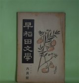 画像: 早稲田文学　大正8年6月（第163号）―国木田独歩十三年忌に（中桐確太郎、中澤臨川、平塚断水）、廃倉の病者（須藤鐘一）、地上哀歌（福田正夫）、西大寺（上司小剣）、鐘楼守（ユーゴー・原作/仲木貞一・脚色）ほか　中桐確太郎、中澤臨川、平塚断水、須藤鐘一、福田正夫、上司小剣、ユーゴー・原作/仲木貞一・脚色、広津和郎　ほか