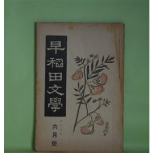 画像: 早稲田文学　大正8年6月（第163号）―国木田独歩十三年忌に（中桐確太郎、中澤臨川、平塚断水）、廃倉の病者（須藤鐘一）、地上哀歌（福田正夫）、西大寺（上司小剣）、鐘楼守（ユーゴー・原作/仲木貞一・脚色）ほか　中桐確太郎、中澤臨川、平塚断水、須藤鐘一、福田正夫、上司小剣、ユーゴー・原作/仲木貞一・脚色、広津和郎　ほか