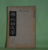 画像: 早稲田文学　明治41年8月（第33号）―国木田独歩論（田山花袋）、惰力（小栗風葉）、空想（土肥春曙）、著作権問題（水野錬太郎）ほか　田山花袋、小栗風葉、土肥春曙、水野錬太郎、和田三造、中島半次郎　ほか