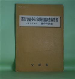 画像1: 市街地青少年余暇利用調査報告書　第1分冊　青少年調査