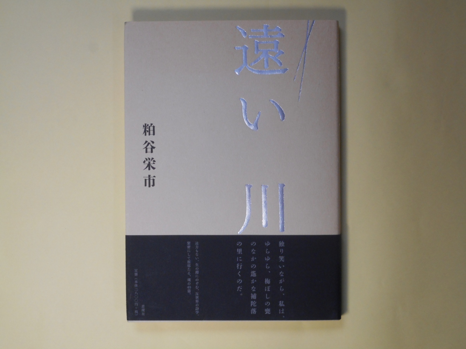 画像1: 遠い川　粕谷栄市　著
