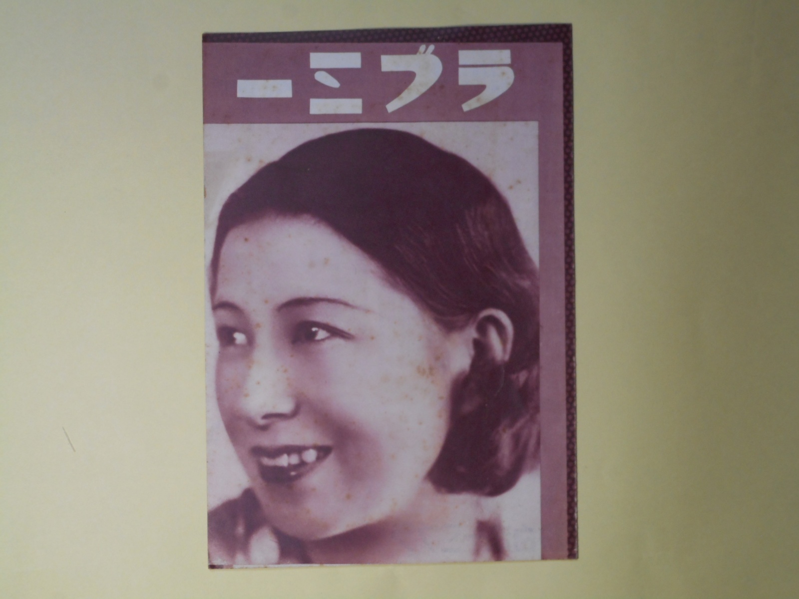 画像1: ラブミー化粧品　パンフレット