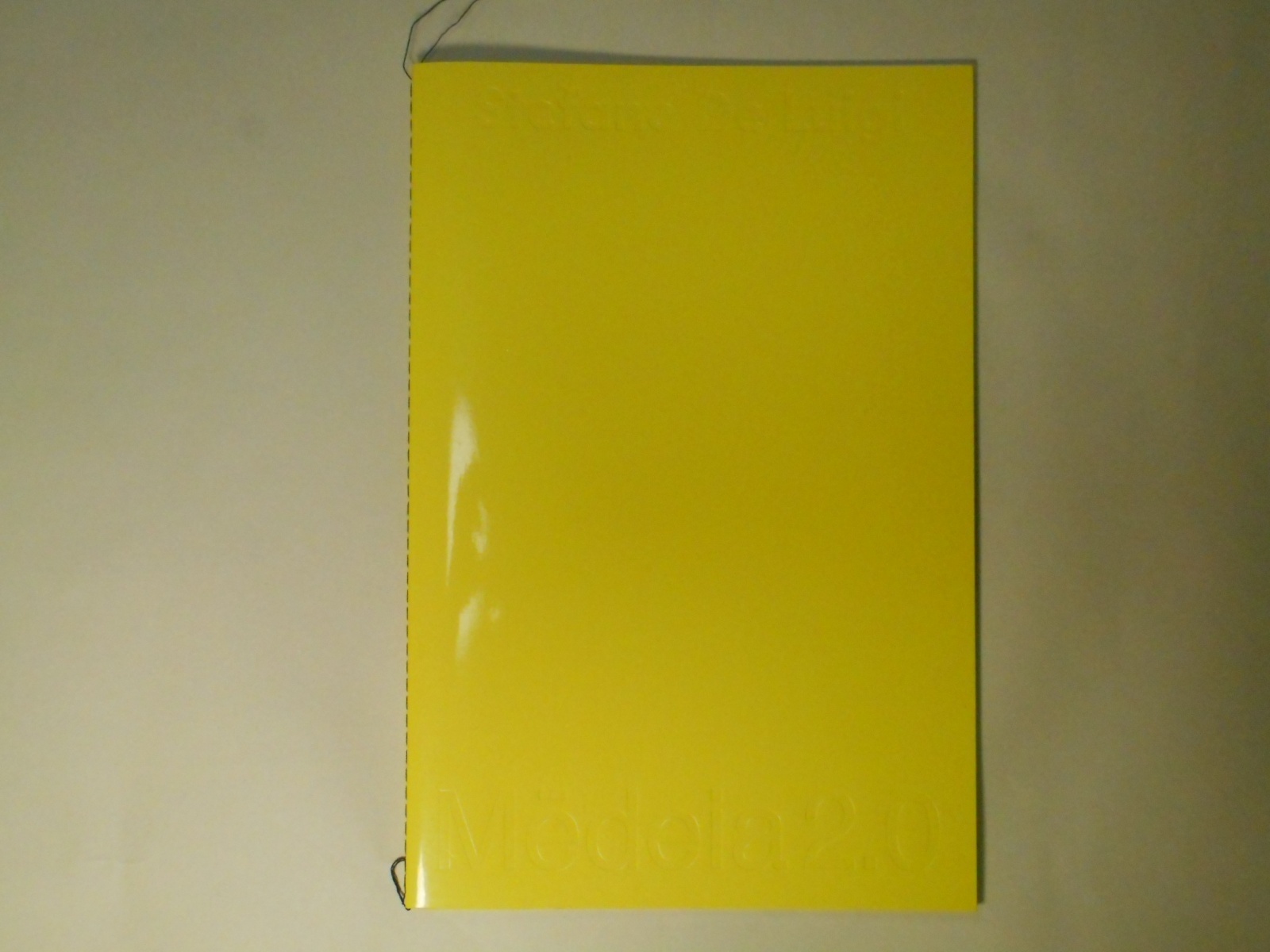 画像1: Medeia 2.0 ISSUE N°02: Stefano De Luigi　Stefano De Luigi（ステファノ・デ・ルイージ）