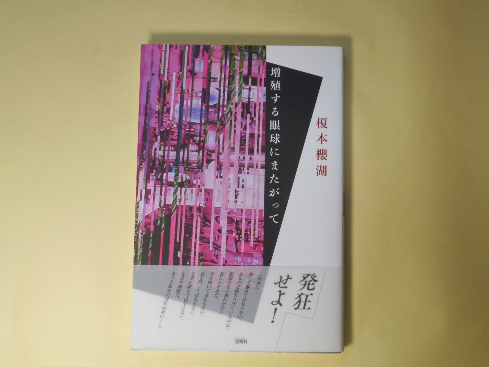 画像1: 増殖する眼球にまたがって　榎本櫻湖　著